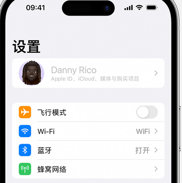 维西appleID维修服务iPhone设置中Apple ID显示为灰色无法使用 