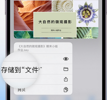 维西apple维修中心分享iPhone文件应用中存储和找到下载文件