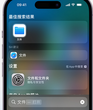 维西apple维修中心分享iPhone文件应用中存储和找到下载文件