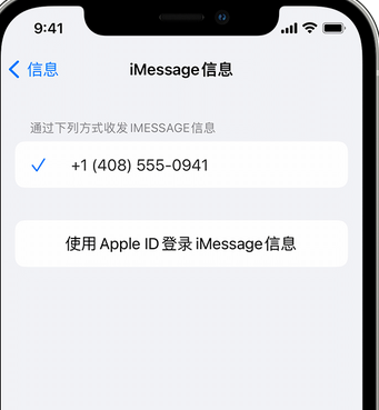 维西apple维修iPhone上无法正常发送iMessage信息 