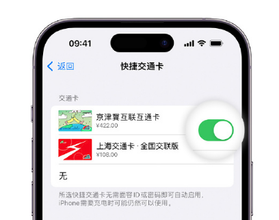 维西apple维修点分享iPhone上更换Apple Pay快捷交通卡手绘卡面 