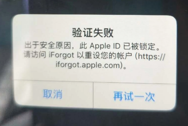 维西iPhone维修分享iPhone上正常登录或使用AppleID怎么办 