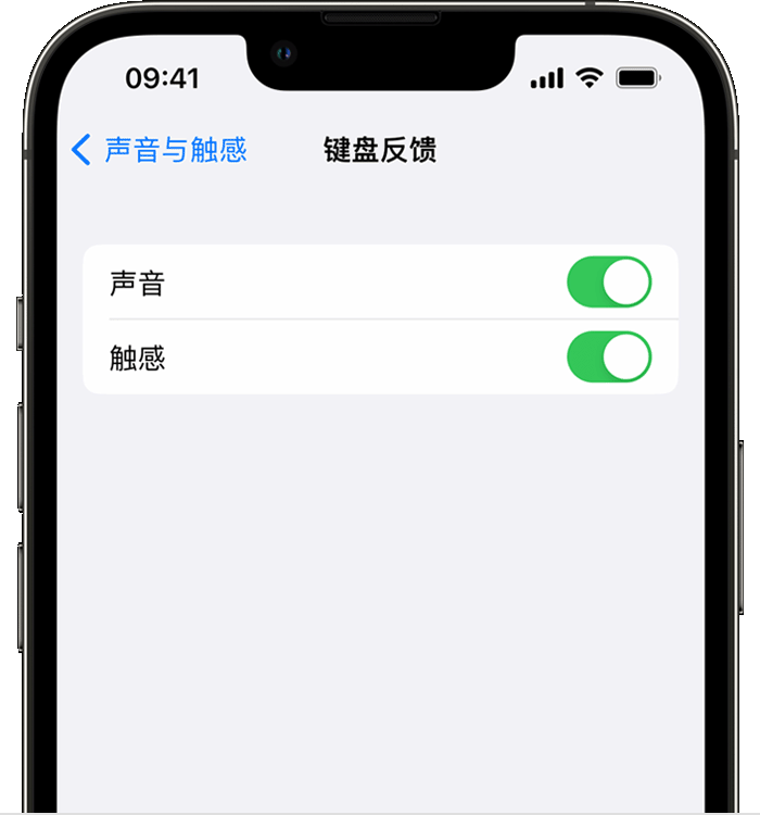 维西苹果14维修店分享如何在 iPhone 14 机型中使用触感键盘 