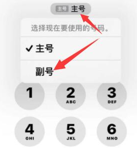 维西苹果14维修店分享iPhone 14 Pro Max使用副卡打电话的方法 