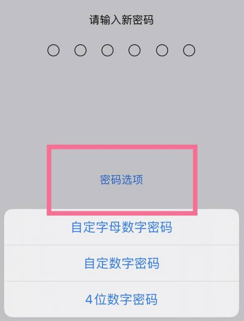 维西苹果14维修分享iPhone 14plus设置密码的方法 